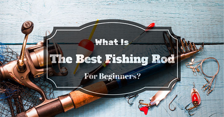 What Is The Best Fishing Rod For Beginners