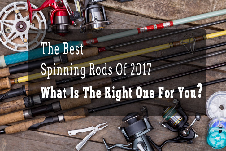 best-spinning-rods