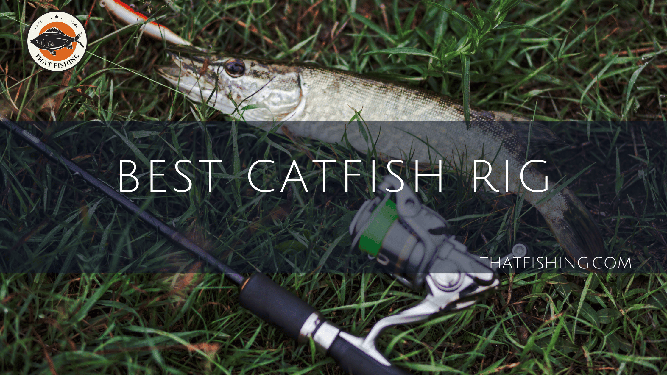 catfish fishing tackle