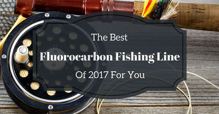 5 Best Fluorocarbon Fishing Line Of 2024 (Updated)