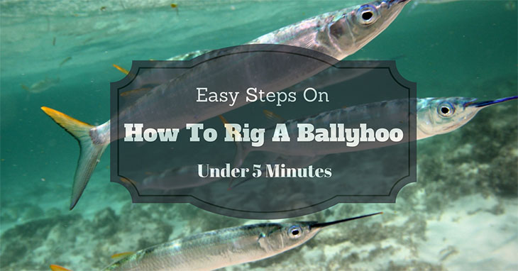 How To Rig A Ballyhoo In Easy Way Under 5 Minutes