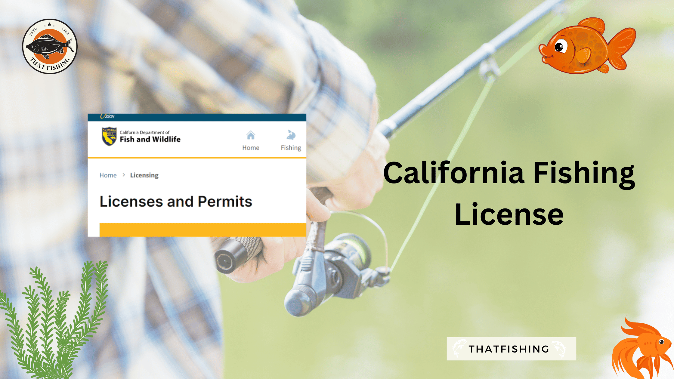 California Fishing License 2023 How To Get It Easily