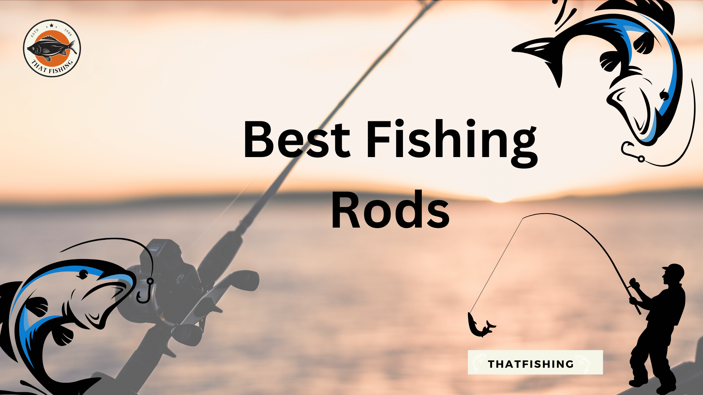 A Complete Guide to Fishing Rods and Reels: Cast with Confidence