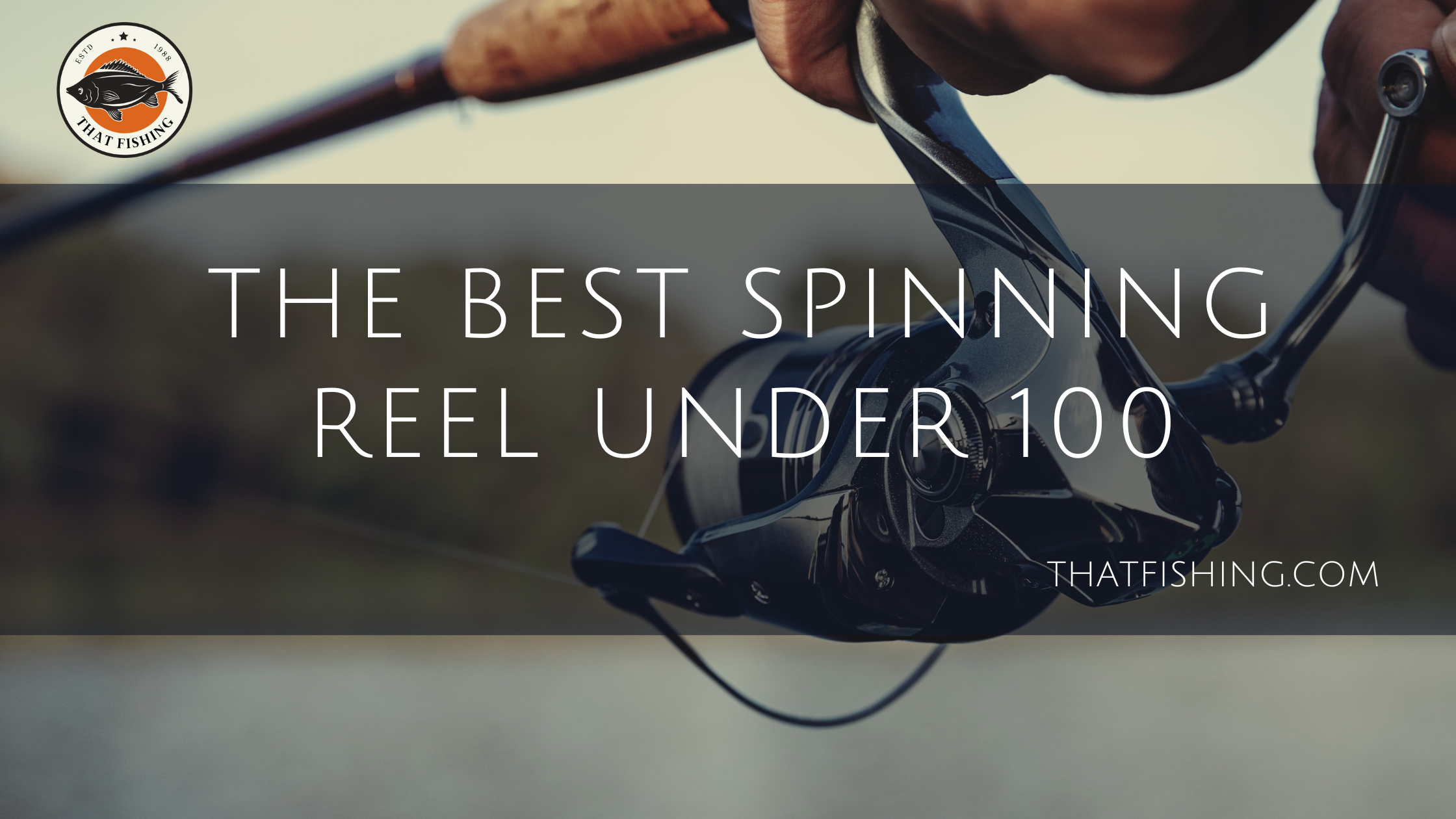 5 Best Spinning Reel Under $100 (Tested & Reviewed)