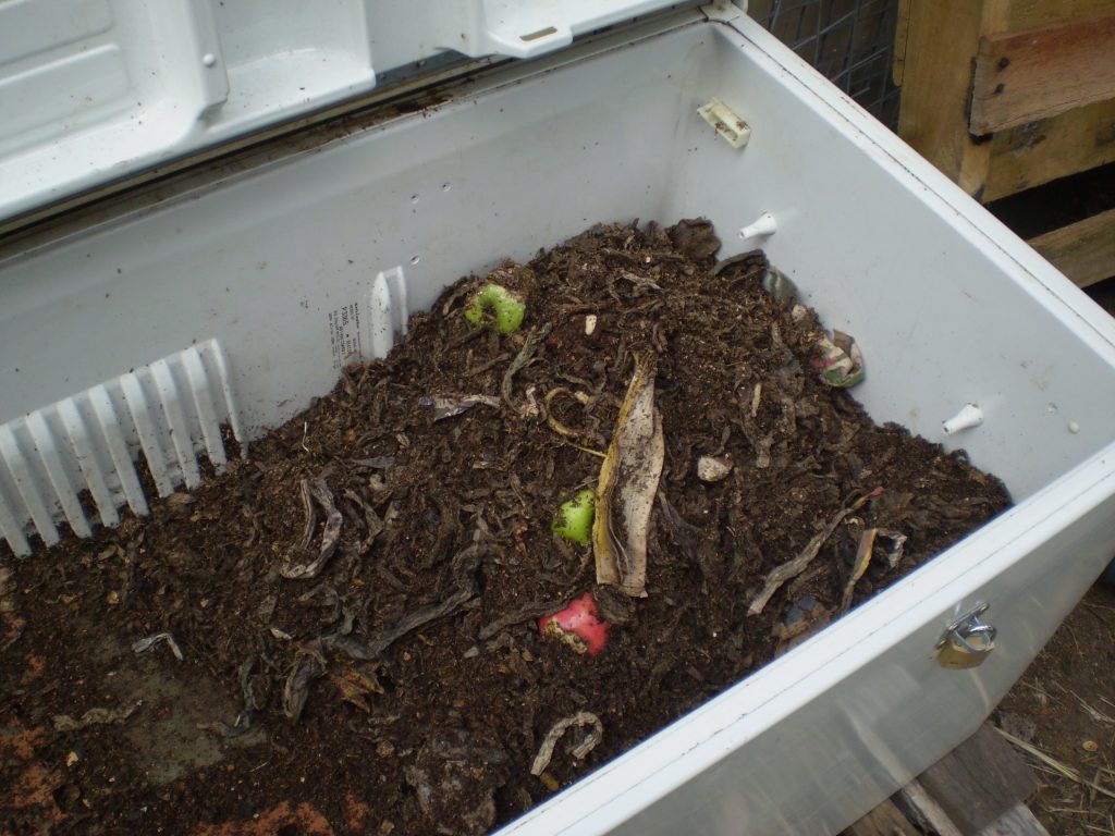 Seal The Container And Put It In Any Cold Place Like Refrigerator