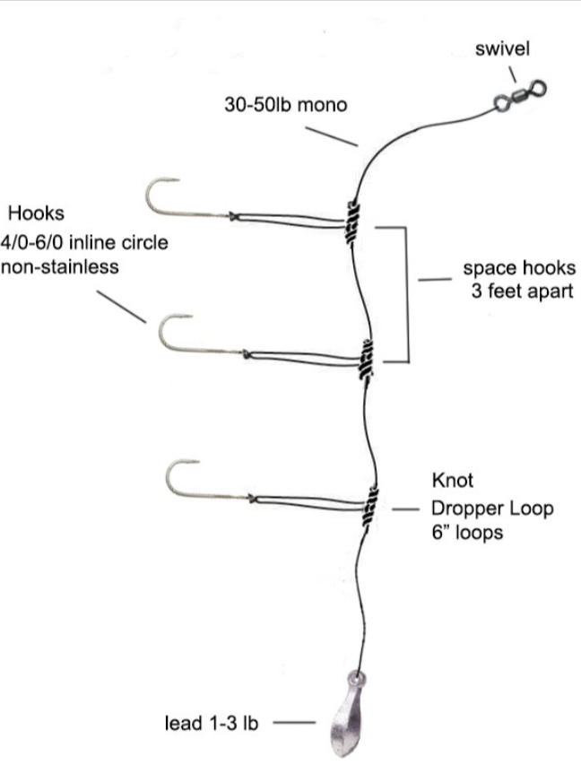 Dropper Loop Rig