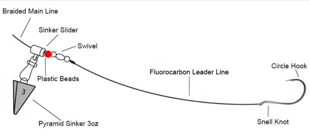 Fish Finder rig