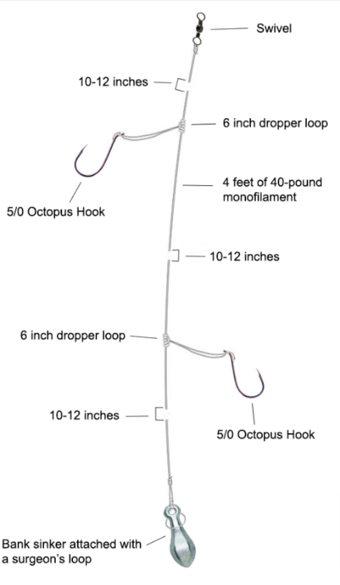 Single Dropper Loop - Surf Perch, Corbina Surf Fishing Rig