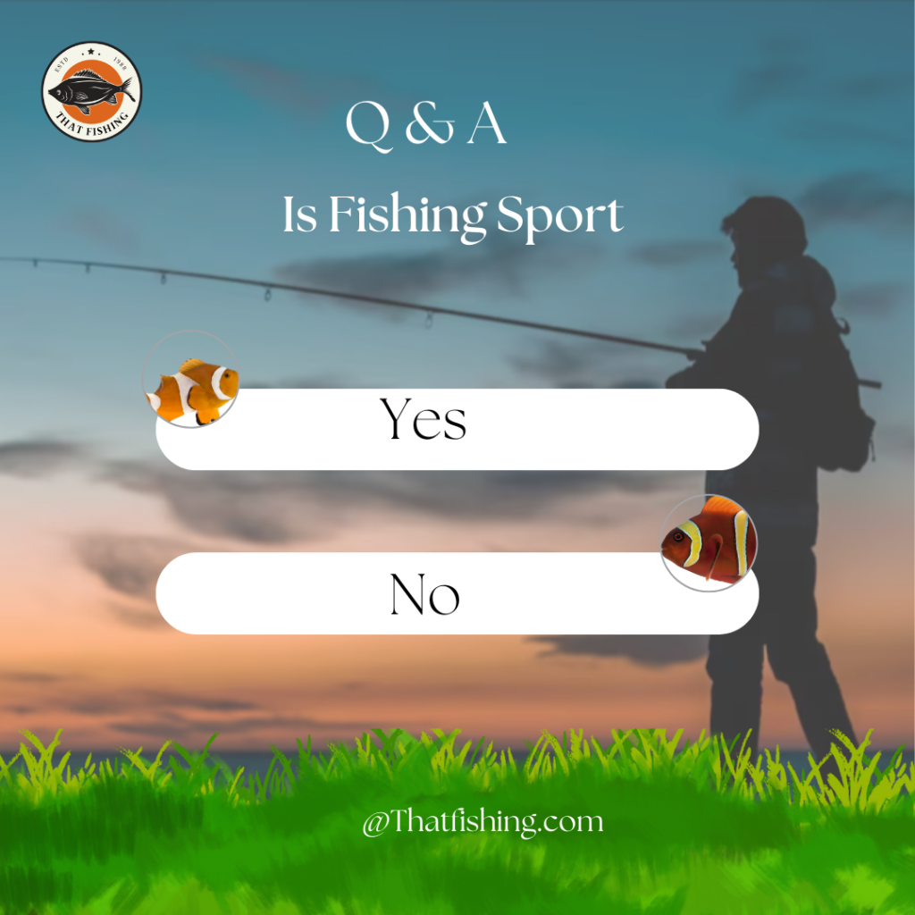 Is Fishing A Sport: The Answers
