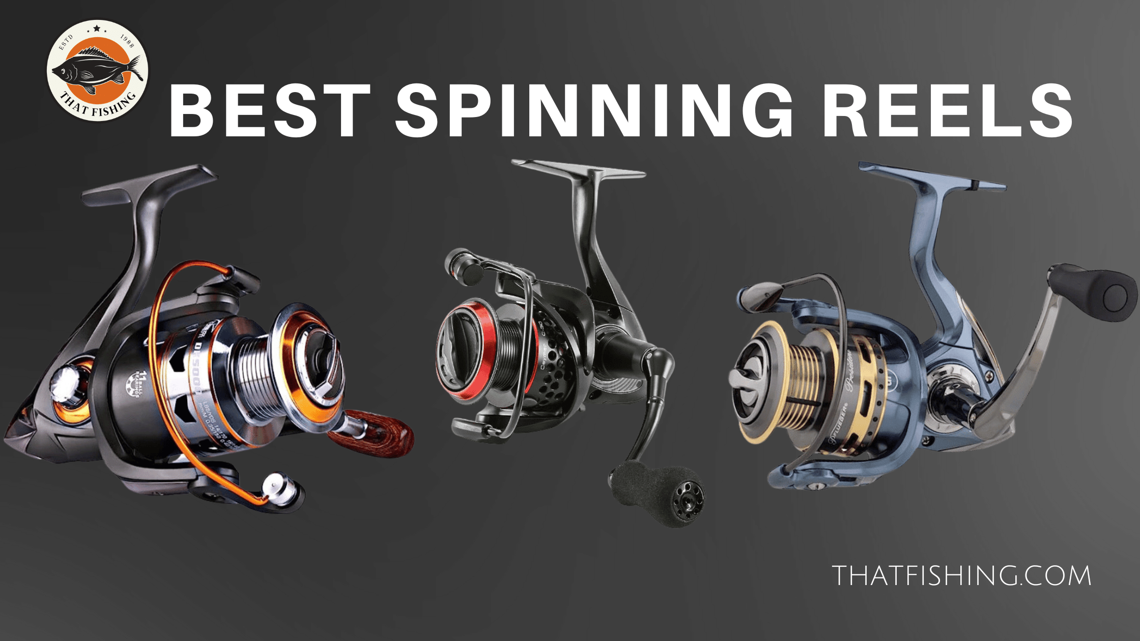 10 Best Spinning Reels for Bass, Trout & other Fish in 2024