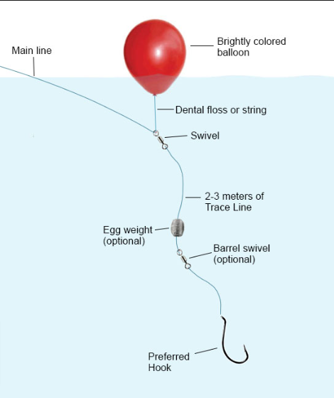 Balloon Fishing Rig For Catfish: Suspend, Drift and More